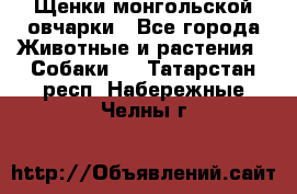 Щенки монгольской овчарки - Все города Животные и растения » Собаки   . Татарстан респ.,Набережные Челны г.